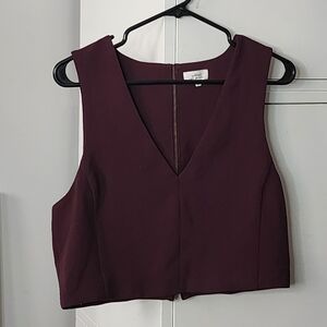 EUC Aritzia Wilfred Crepe Crop Top (L)